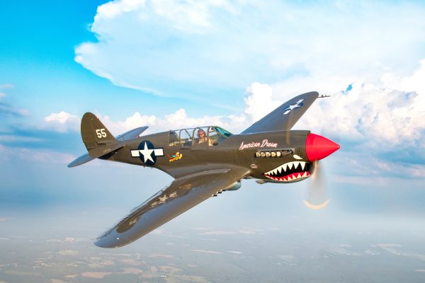 Warbird